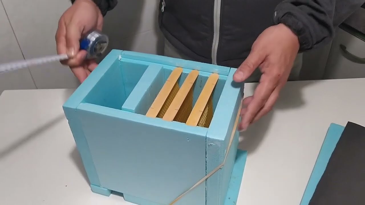 Medidas de los  Mininucleos de fecundación