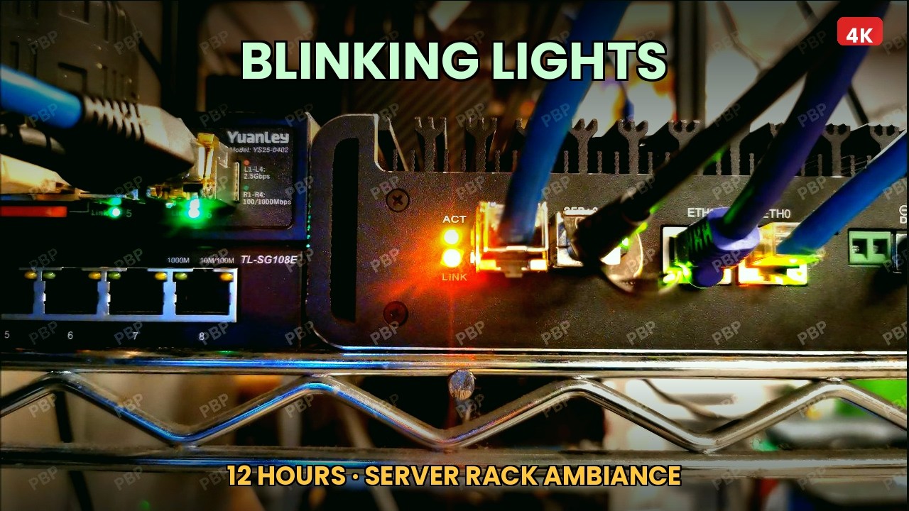 Network Switch LEDs Blinking for 12 Hours &mdash; Server Rack Ambiance