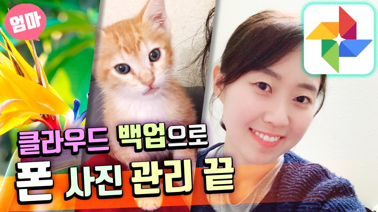 사진과 동영상들 클라우드에 백업하기  | 스마트폰 용량 없을 때 | 구글 포토 앱 사용하는 법