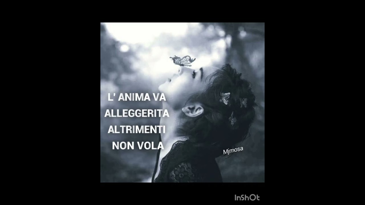 Senza fiducia