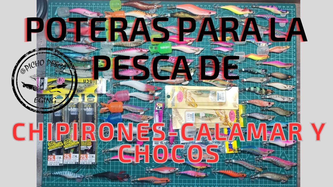 EGING para la pesca de chipirón, calamar y chocos