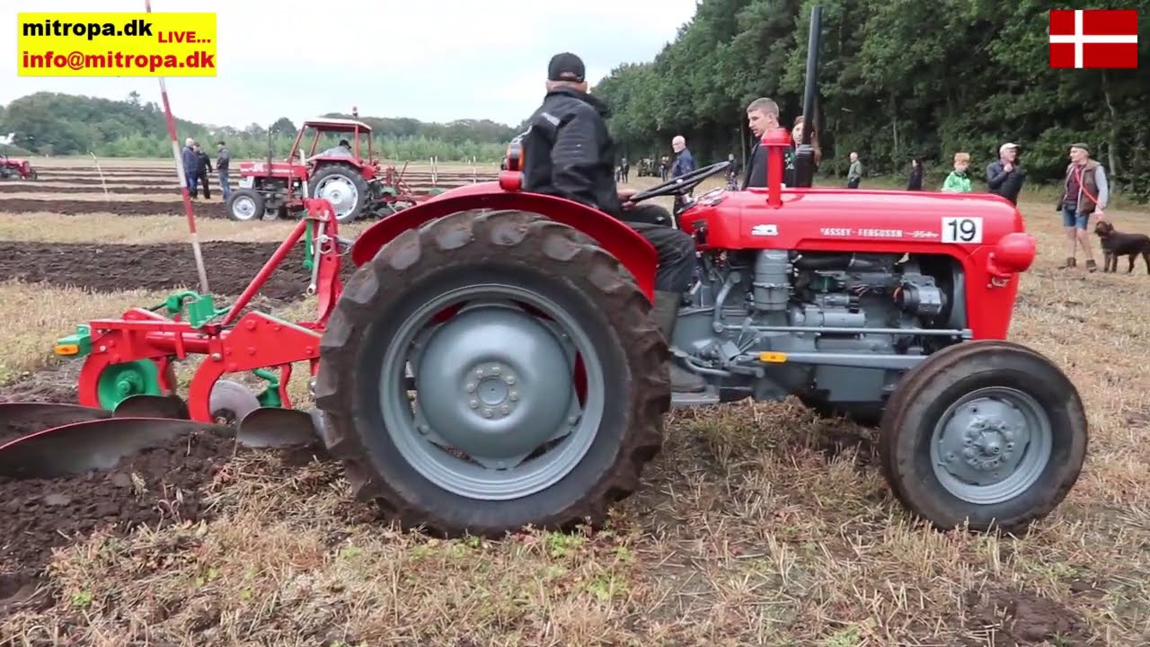 Løgumkloster: Pløjestævne med veterantraktor i Mårbæk 2020