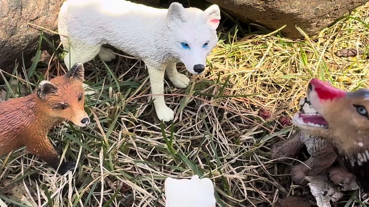 The Crescent Moon Pack~|~Nightmares of the past~|~S3 Ep5~|~Toy wolf/dog series