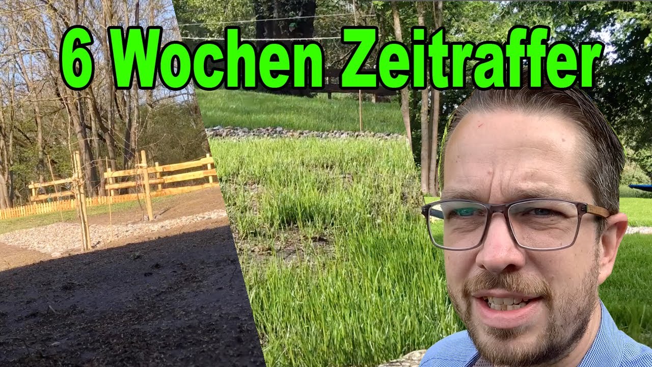 6 Wochen Rasen Zeitraffer ! Ich höre das Gras wachsen ! Natur Timelapse ! Natur erwacht ! tobiebel