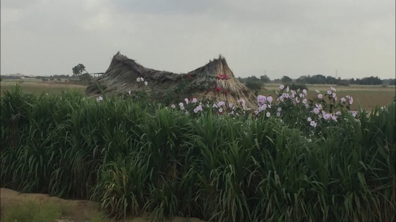 طارق جيزاني (أبكي ودمعي كالمطر)