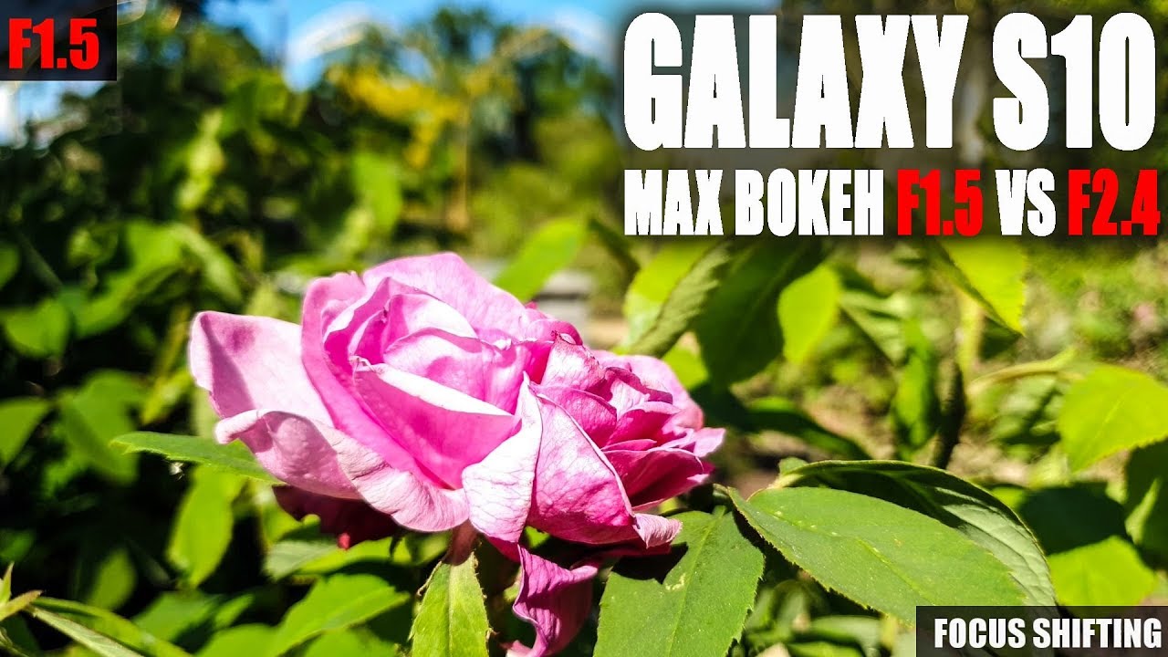 Samsung Galaxy S10 dual aperture F1.5 vs F2.4 max bokeh video samples (Filmic Pro App)