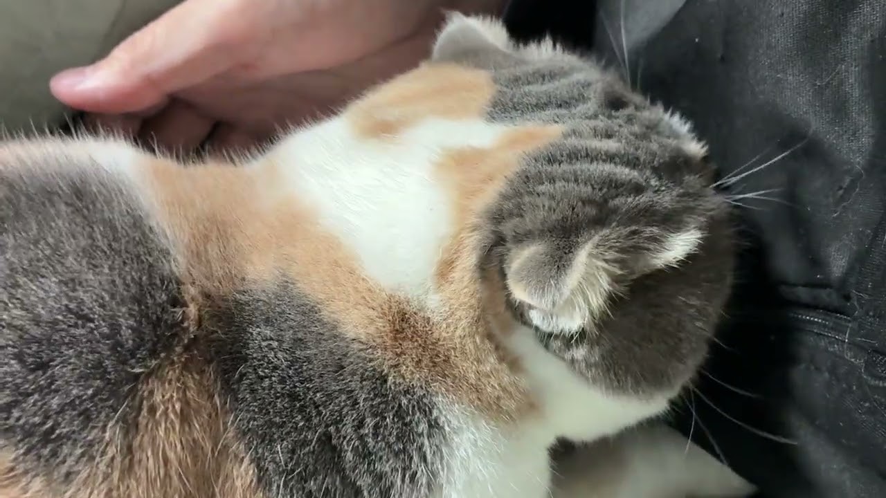 today's Asahi 17/02/2026