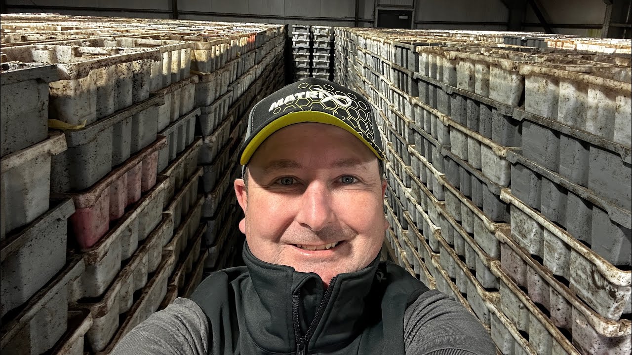 Миллионы червей! 🪱