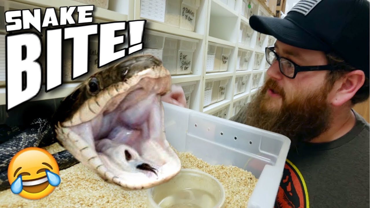 FUNNY REACTION TO A SNAKE BITE **ERIC GETS BITTEN** | BRIAN BARCZYK