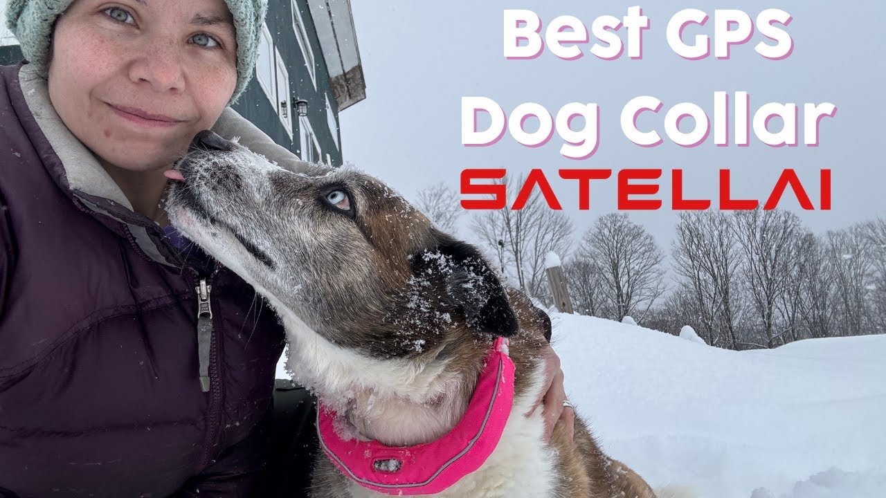 SATELLAI GPS Dog Collar Review | The Best Smart Collar for Homesteaders & Farm Dogs