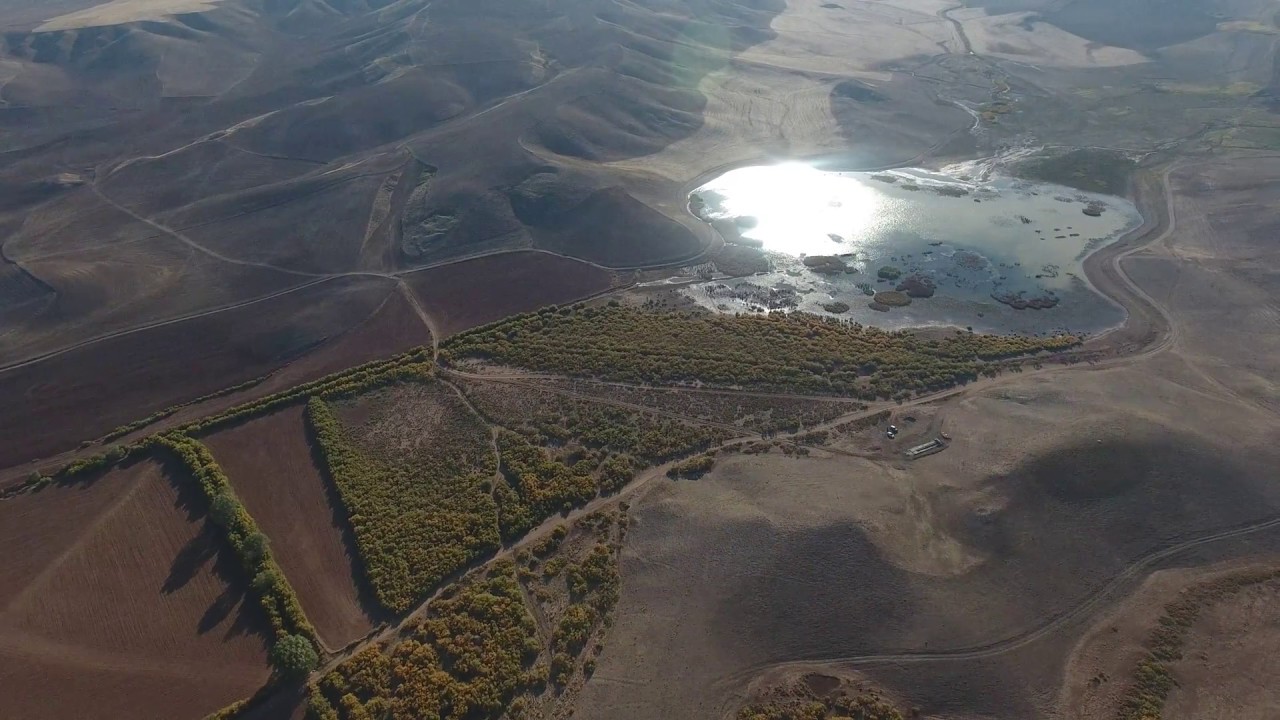 Ali Ekber KOÇ'un Bahçesi - 2