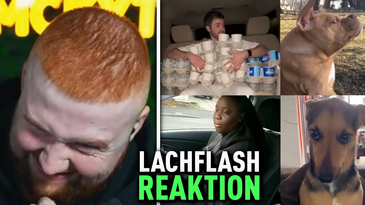 XL REAKTION - MEME COMPILATION😂 - DAILY DOSE OF INTERNET | MckyTV Stream Highlights