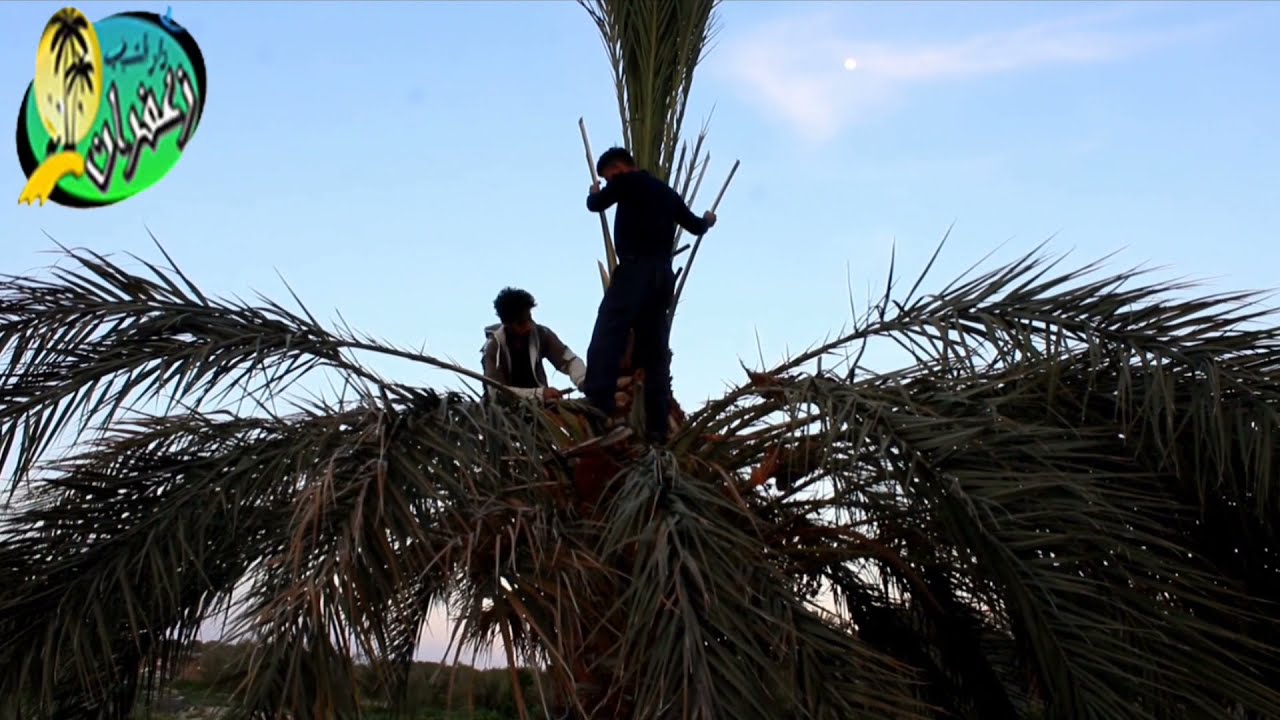 حكايات بلادي الحلقة 2: اللاقمي