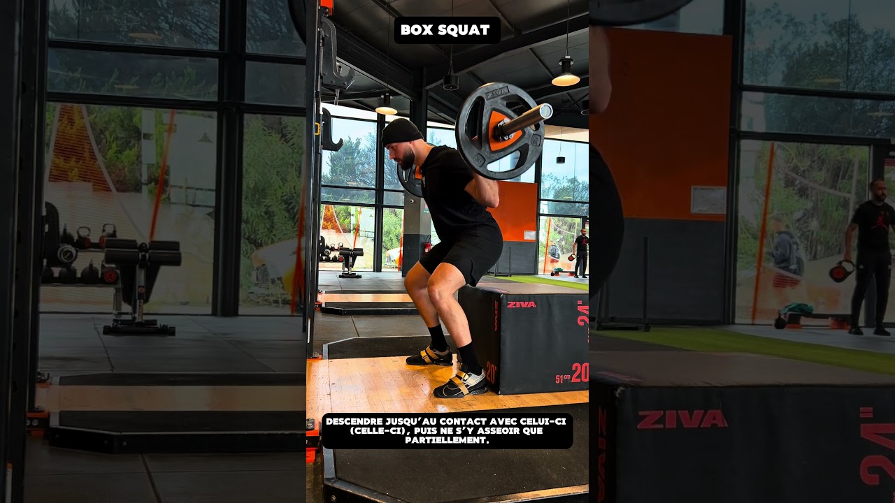 Box Squat