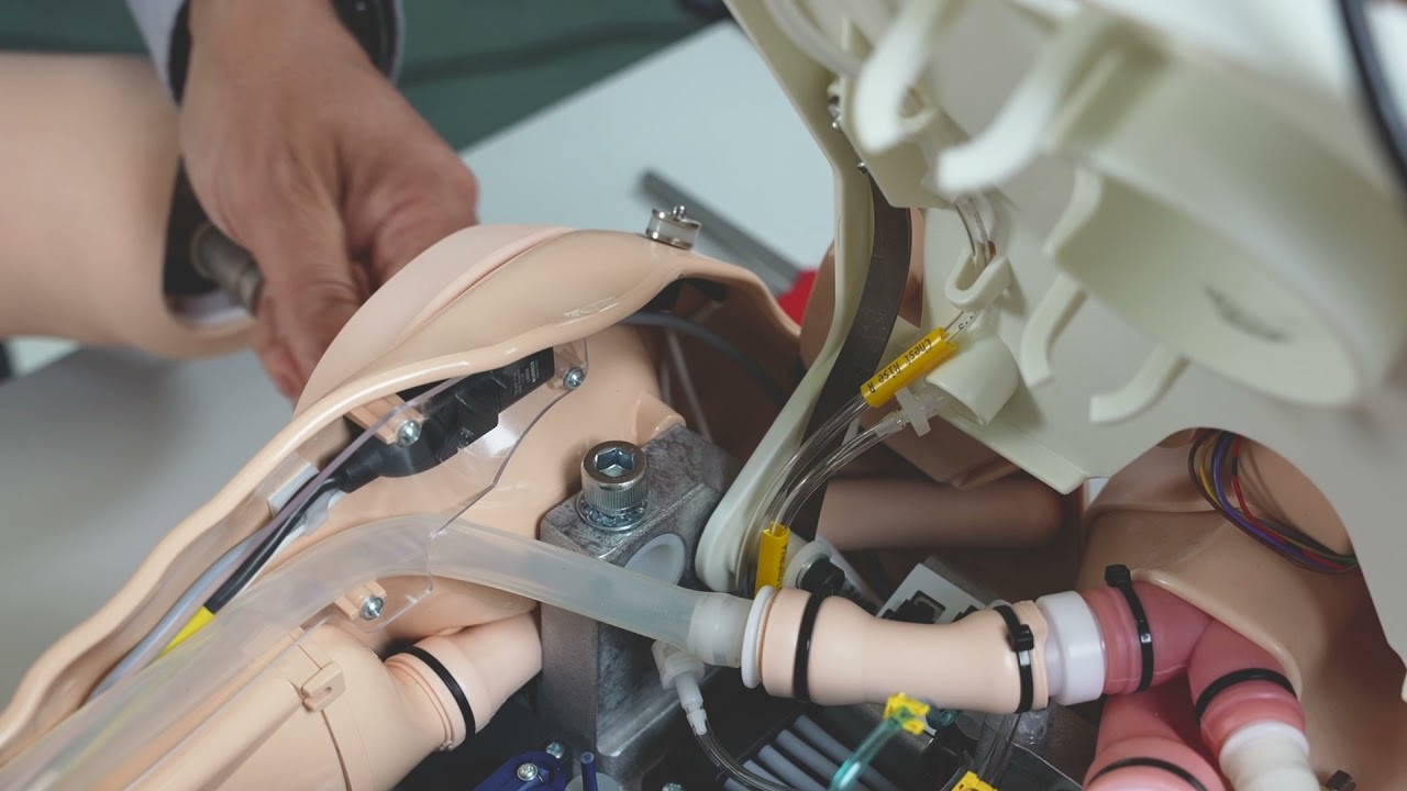 SimMan 3G PLUS - How to Replace Arms