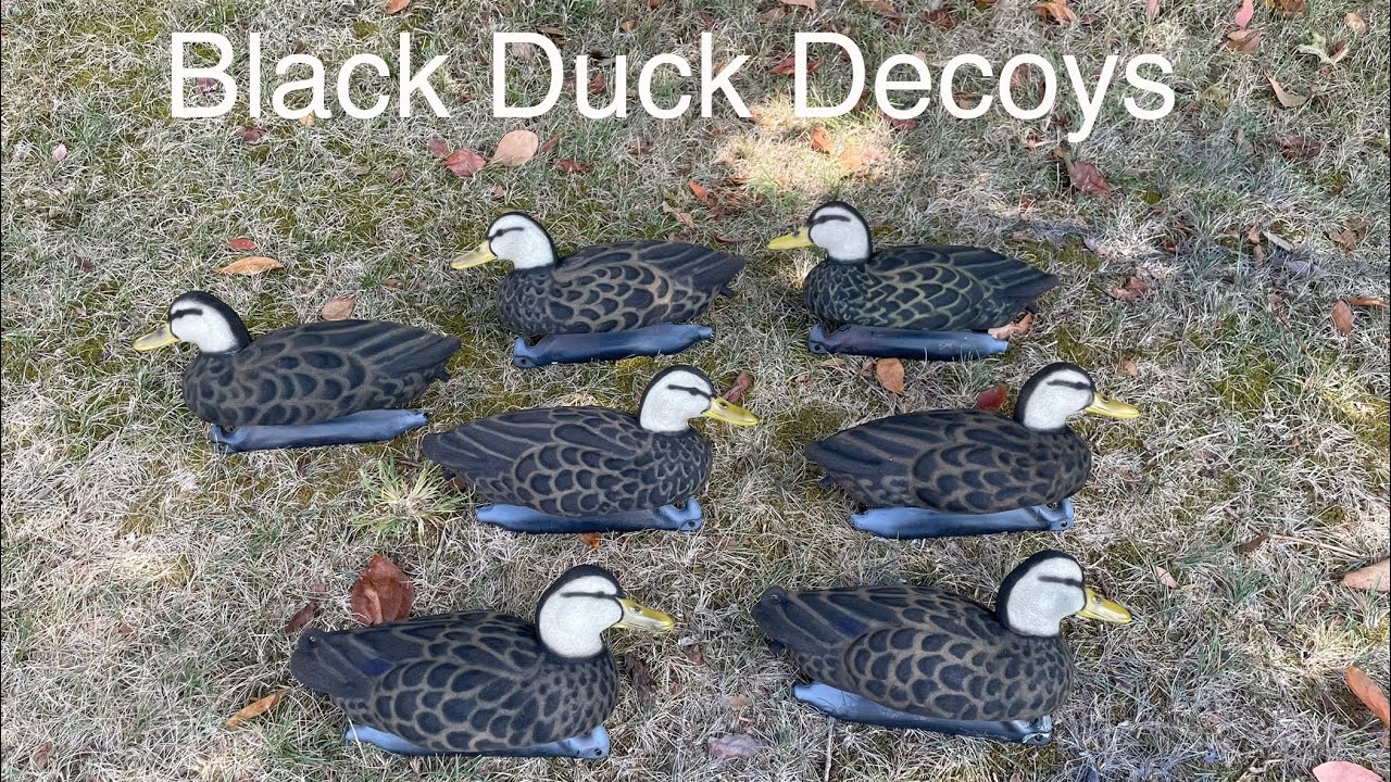 Turning old mallard decoys into black ducks