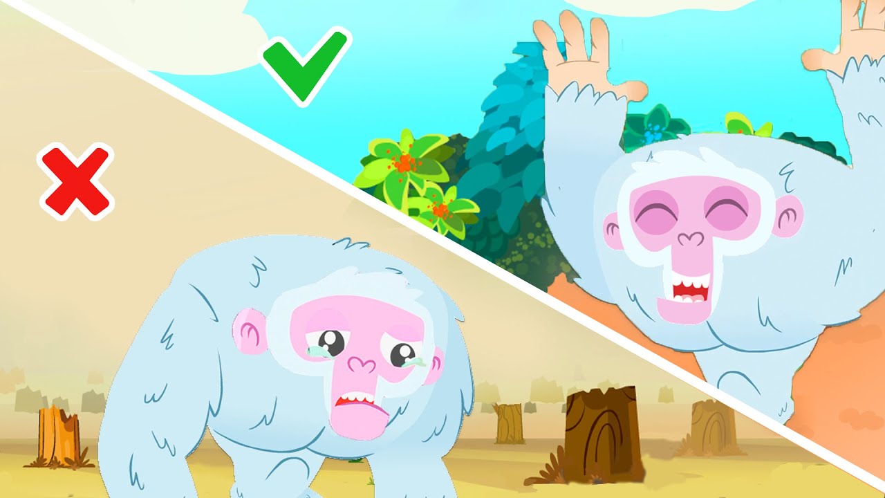Learn to preserve the forests with the Superzoo team