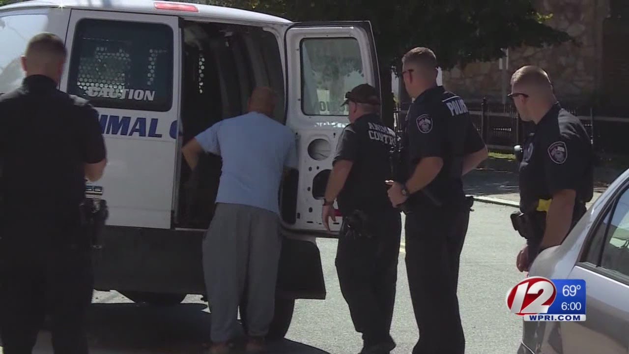 Police: Pit bulls attack woman walking her dog in Pawtucket