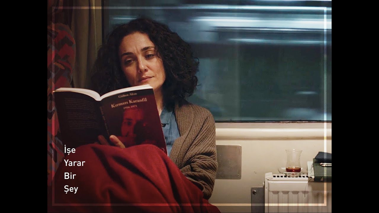 işe yarar bir şey (2017) barış bıçakçı / bir kitabın sayfaları