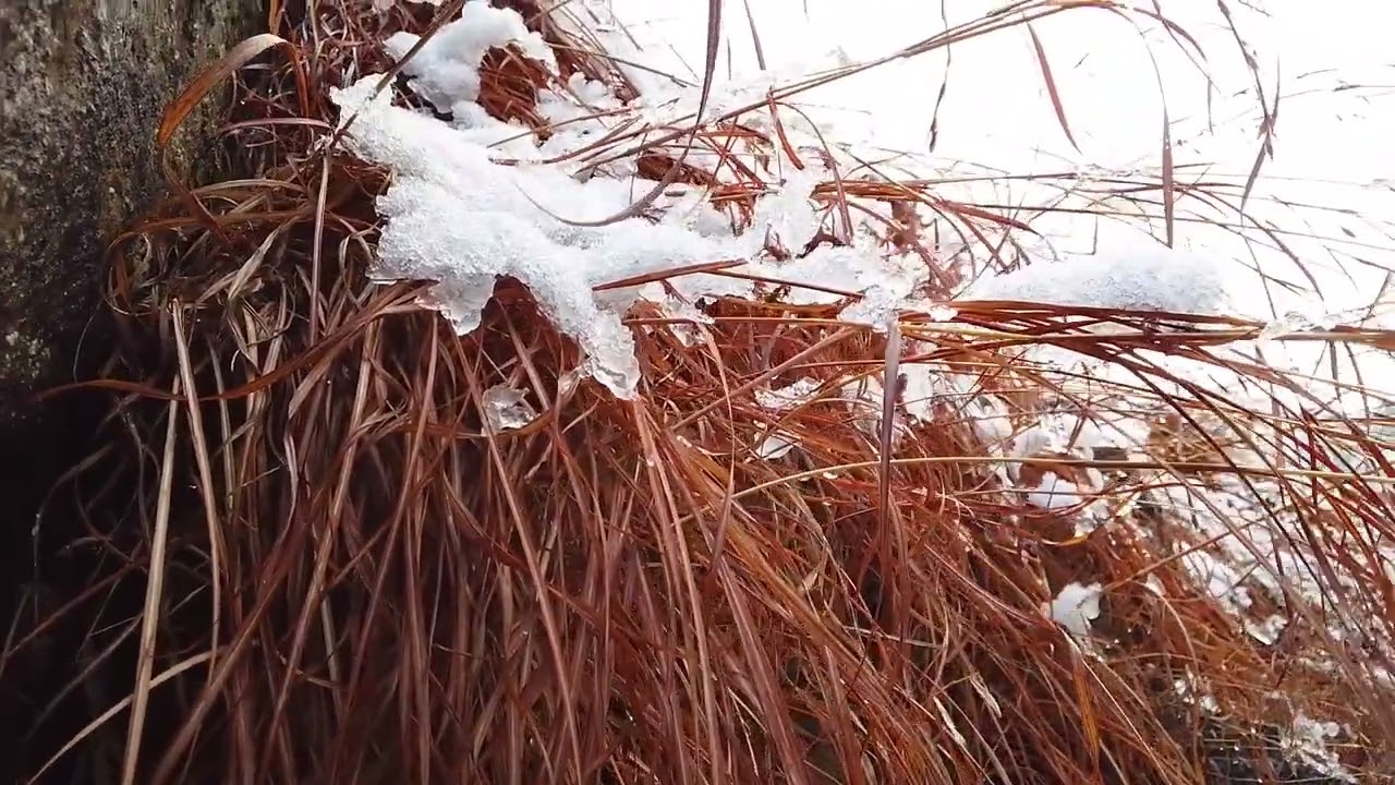 Swat Fresh Snowfall Today ❄️  Heavy Snowfall in Swat Pakistan  Winter Beauty