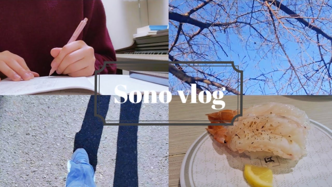 【Study vlog】8時間勉強する声楽家の1日🔥 | 勉強vlog | 資格勉強 | インドア生活🏠
