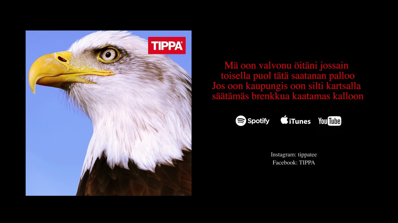 TIPPA - Satutat mua (lyric video)