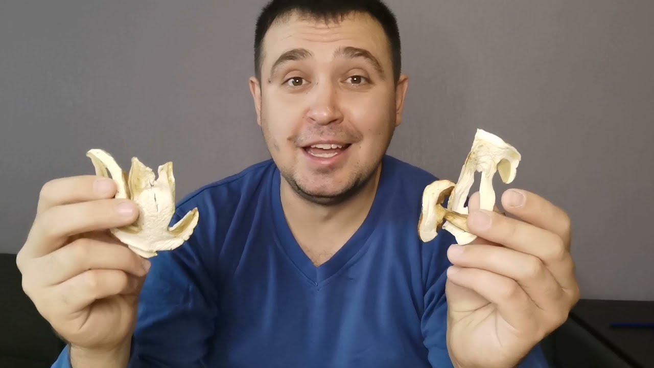 Как определить белый гриб по сортам #белыйгриб#грибы#вкуснаяеда