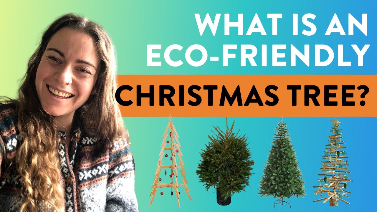 How to choose a sustainable Christmas tree | Life Before Plastic