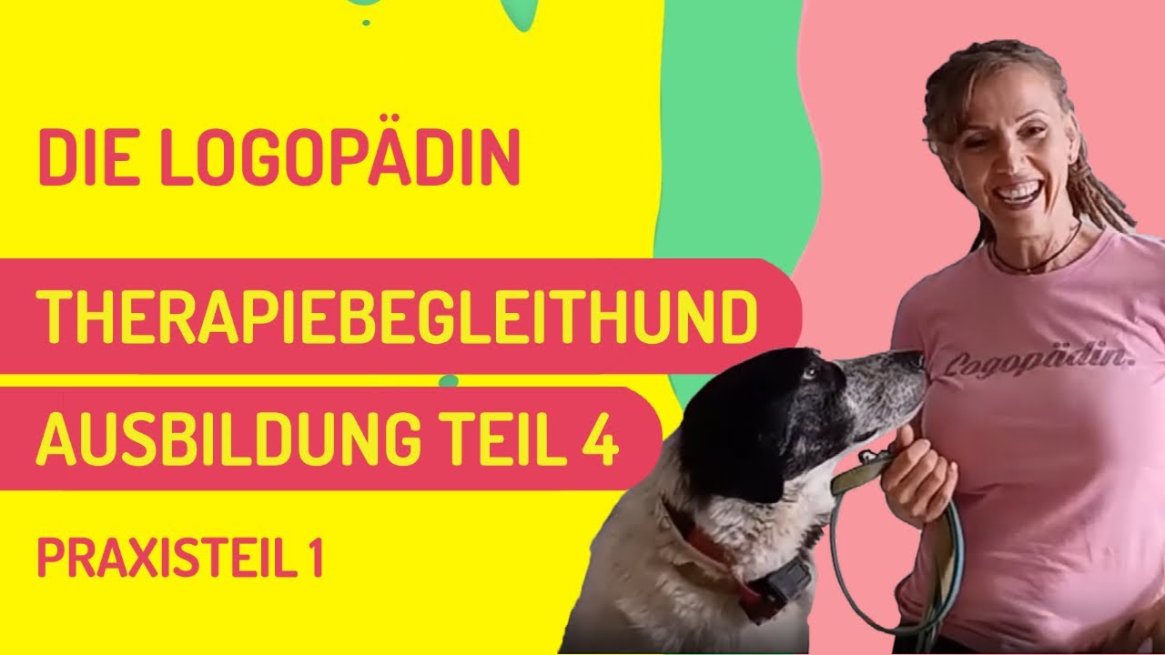 Teil 4 Therapiebegleithund Ausbildung: Praxisteil 1