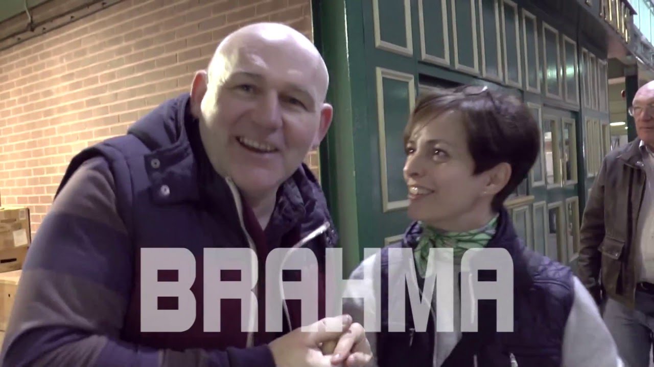 Glorious Brahma: Talking to Breeders