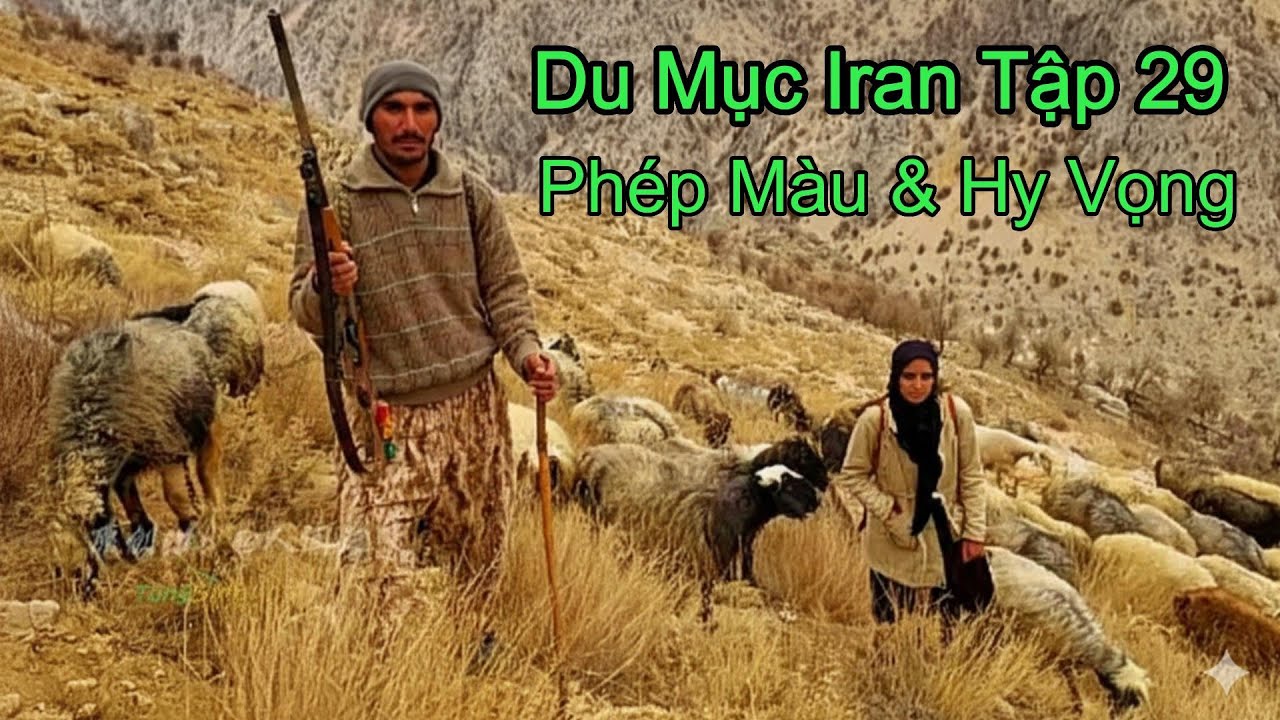 Du Mục Iran Tập 29: Phép Màu Trên Cao Nguyên: Hy Vọng Cho Đàn Cừu Sau Hạn Hán