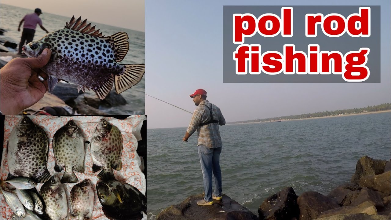 POL ROD FISHING 🎣🔥|| kerala harbour fishing || കരിമീൻ സ്റ്റിക്കിൽ മീൻ പിടുത്തം.. (psycho angler)