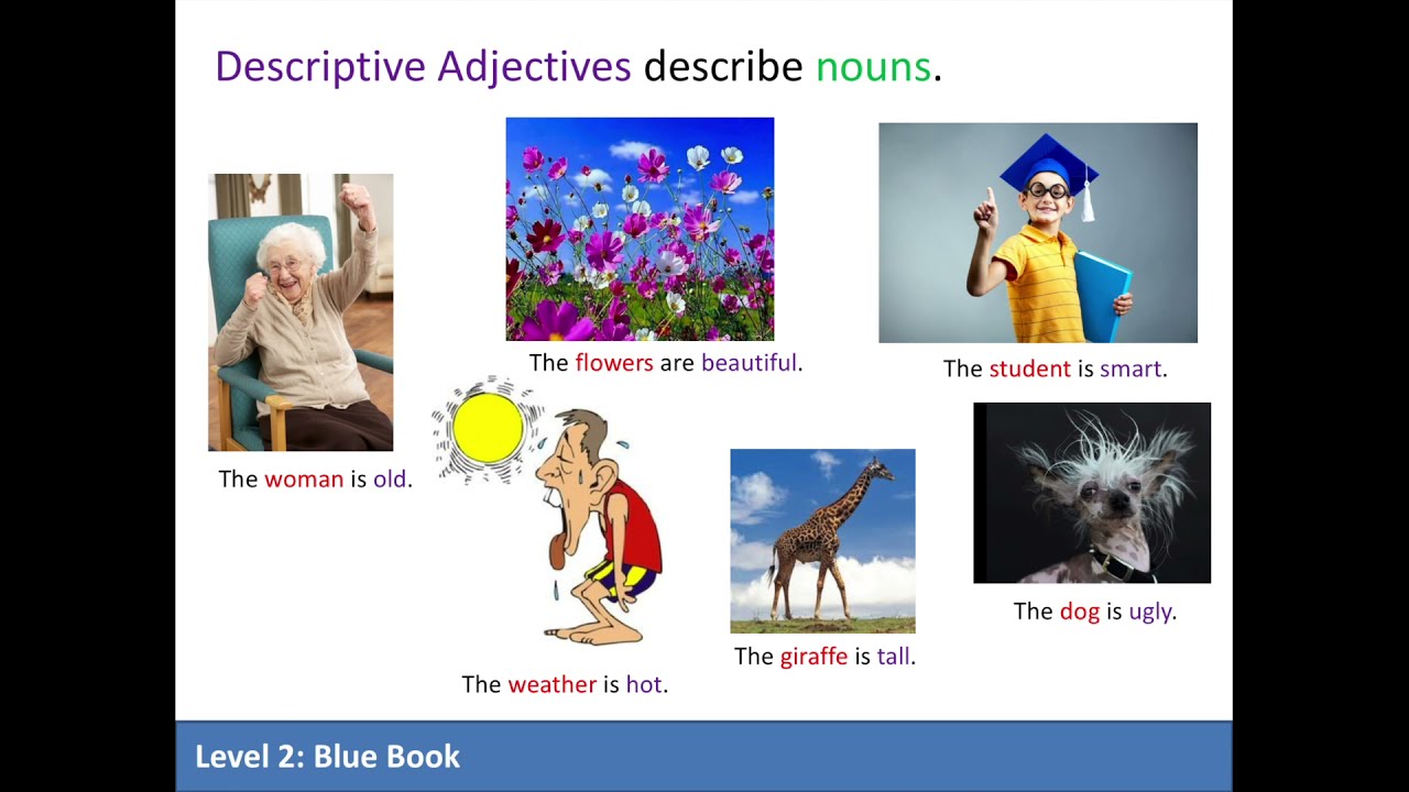 English Tutorial: Possessive and Descriptive Adjectives