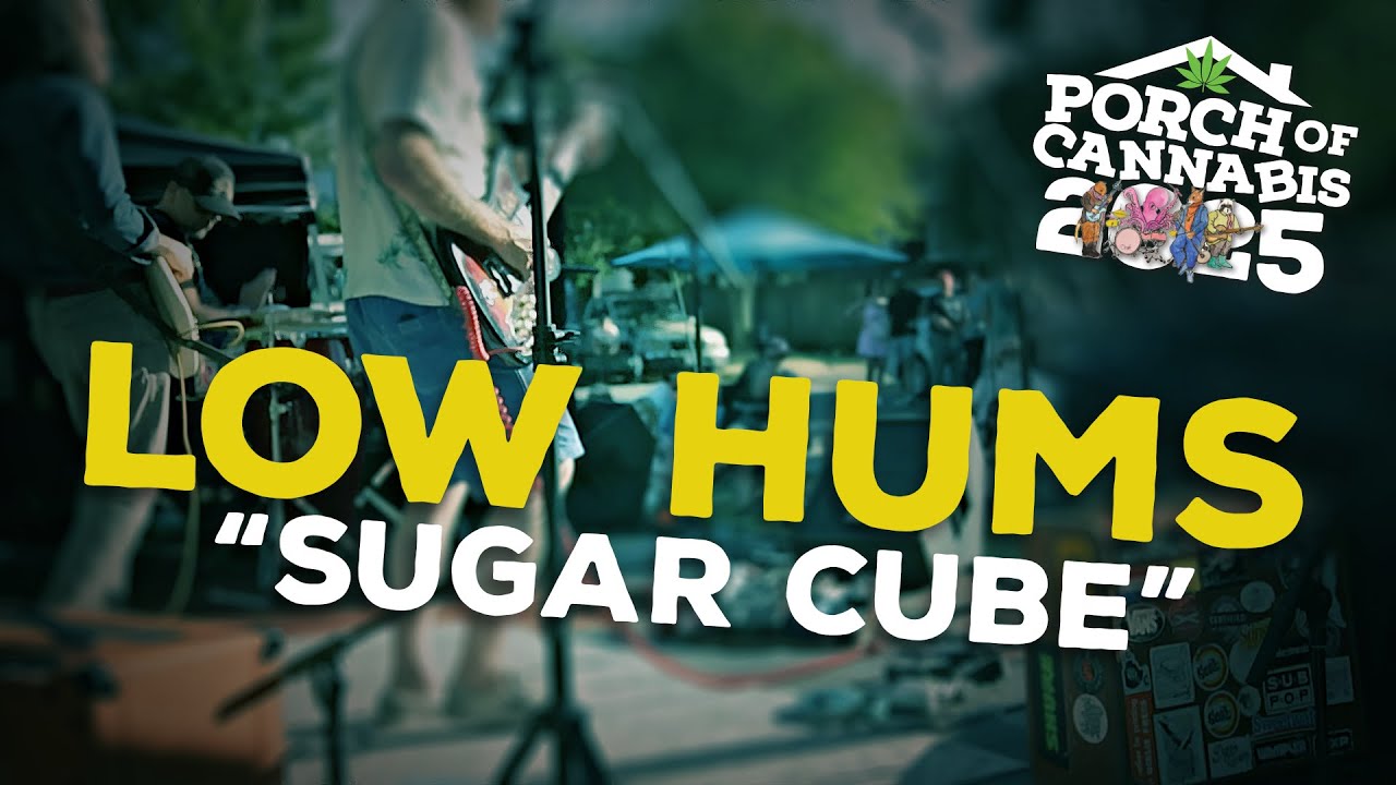 Low Hums - 
