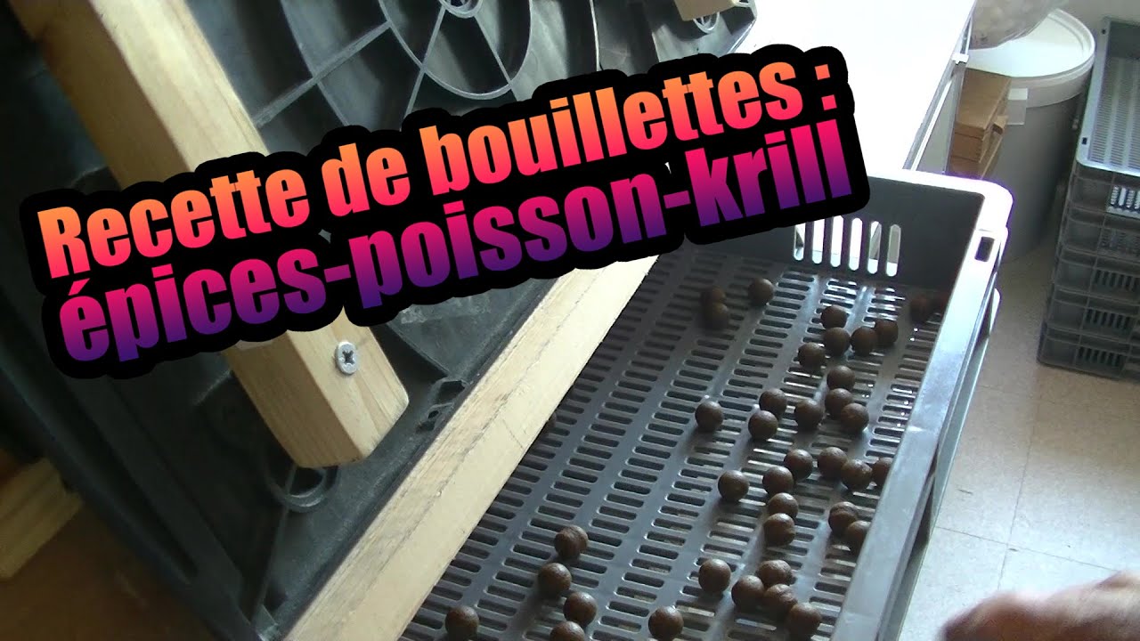 Recette de bouillettes : épices/poisson/krill