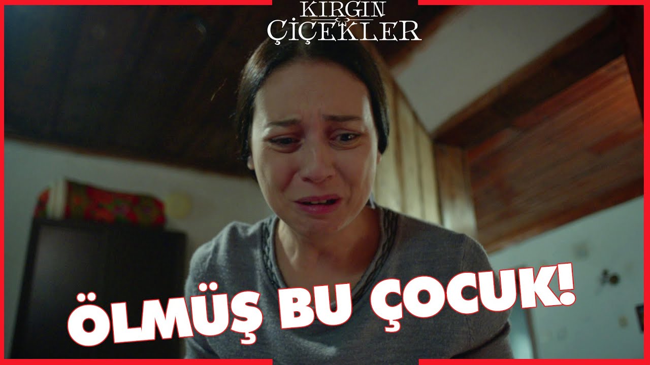 Kırgın Çiçekler Özel Kısa Bölümler | 205