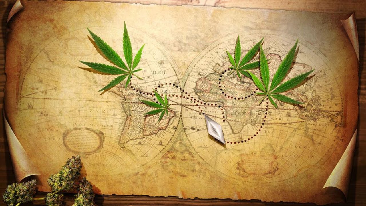 Documentaire HD - L'histoire du Cannabis - Documentaire fran&ccedil;ais