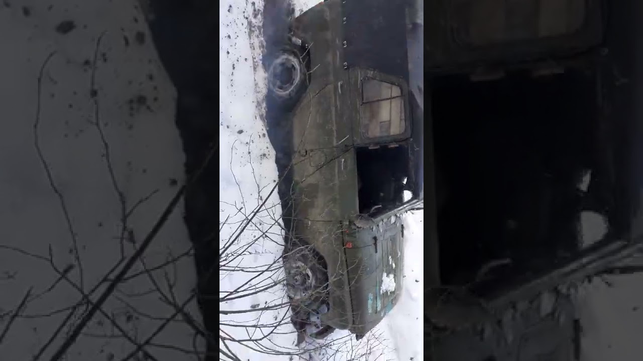 ვილისი თოვლში