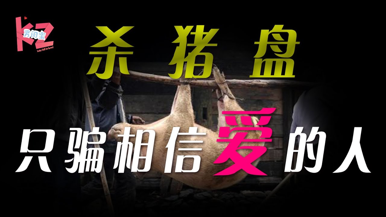 【杀猪盘】爱情可能就是杀猪盘描绘出来的样子！