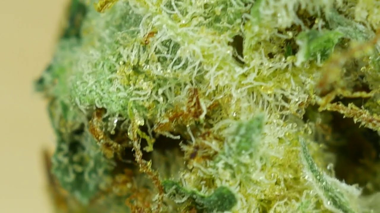 4K Cannabis 030 - Affirma Shoreline #CannabisNB