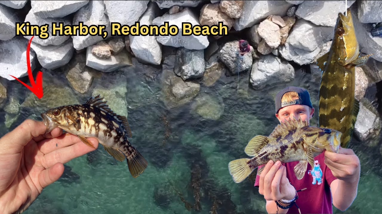 Fishing Redondo Harbor! What will we Catch? (SHOCKING)