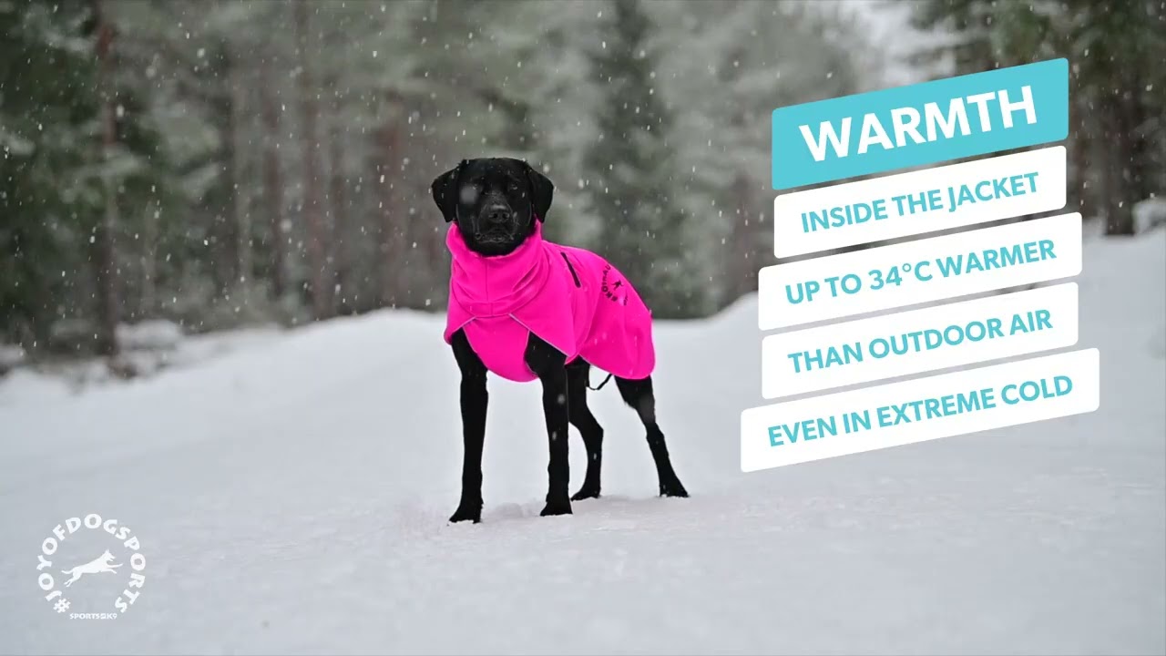ProWarmer winter jacket for dogs - Premium quality from Finland