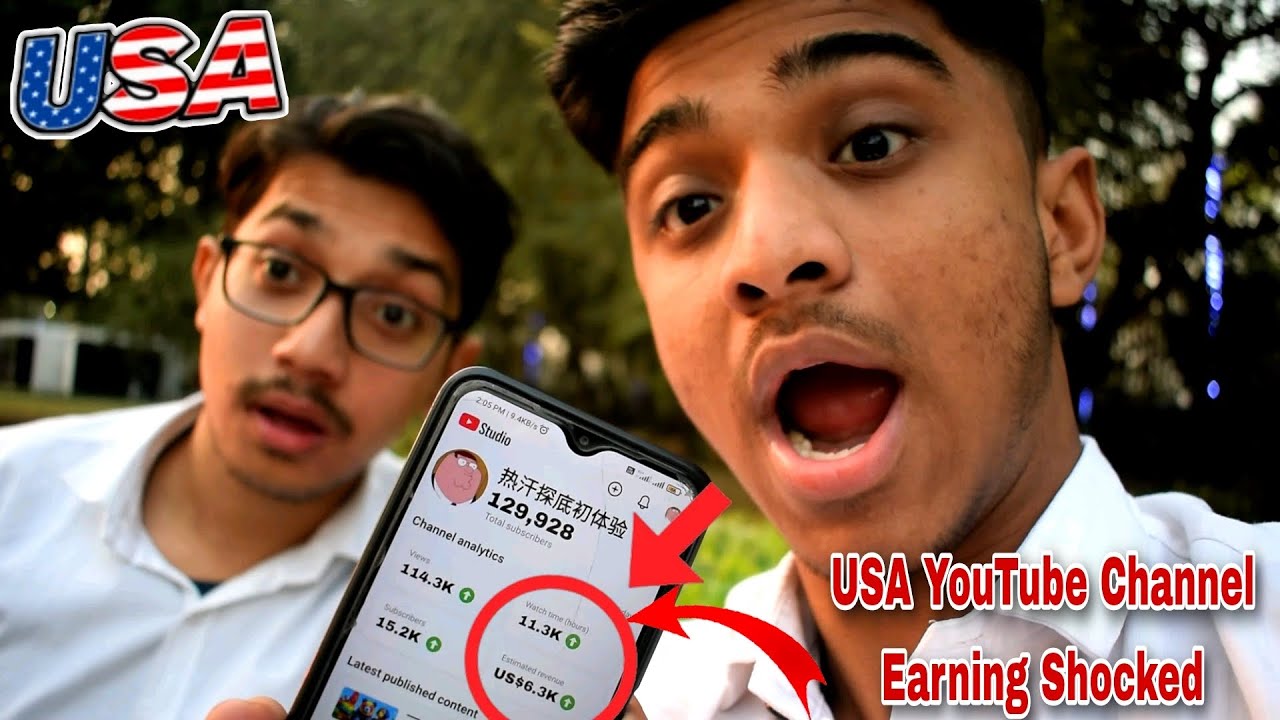 USA YouTube 🇺🇸 Channel Earning Proof | Make Money Online | Earn Money Online