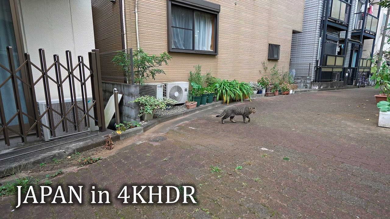 Прогулка по Сасадзука, Токио・4K HDR