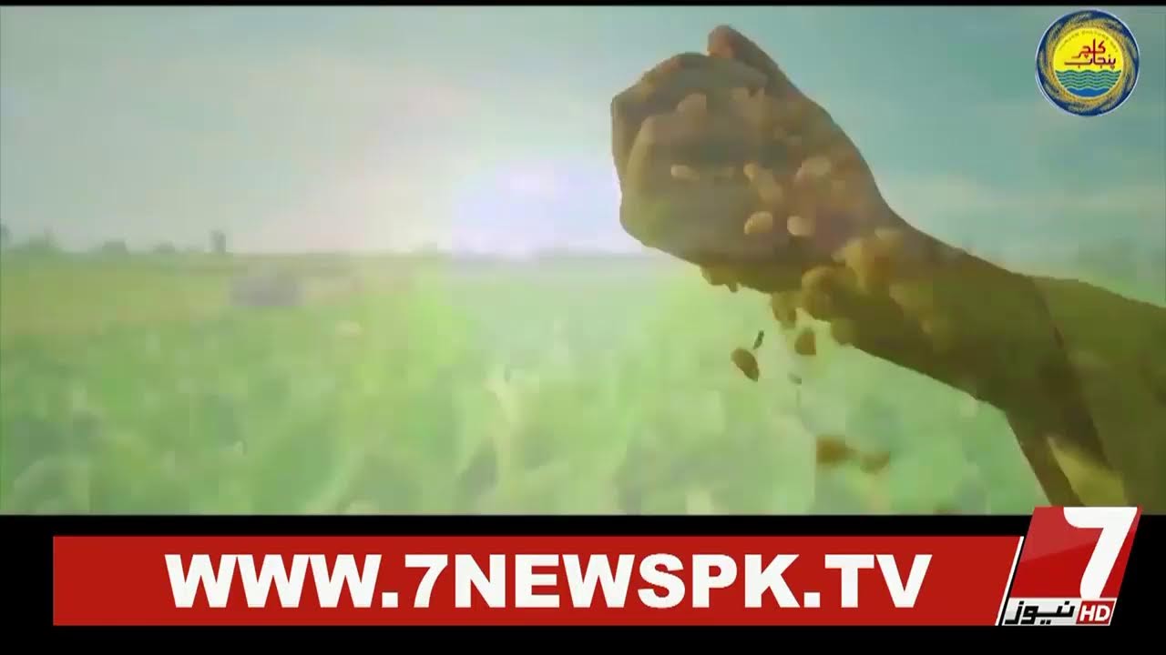 🔴7News HD Live | Pakistan Latest News, Updates, Headlines, Pakistan News 24/7 | Live Stream