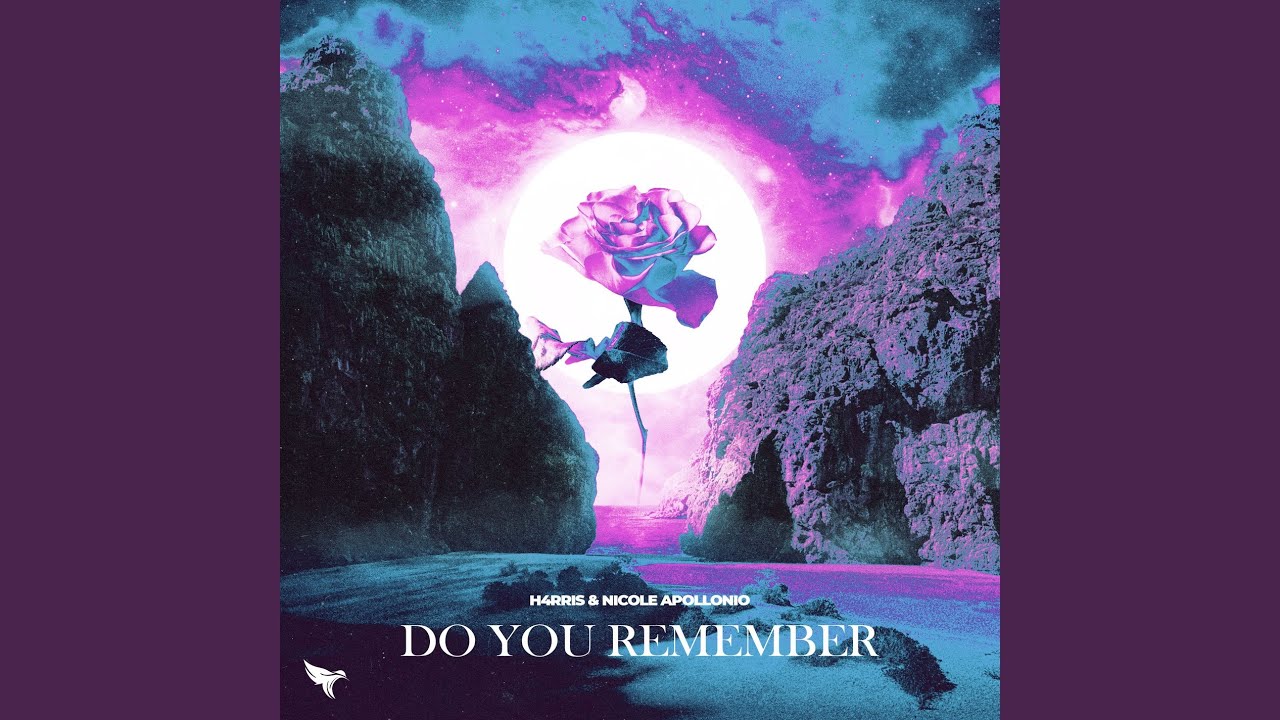 Do You Remember (spring street Remix)