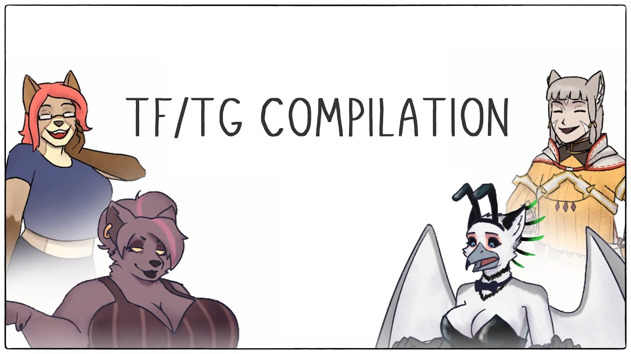 TF Animation Compilation (2024-2025)