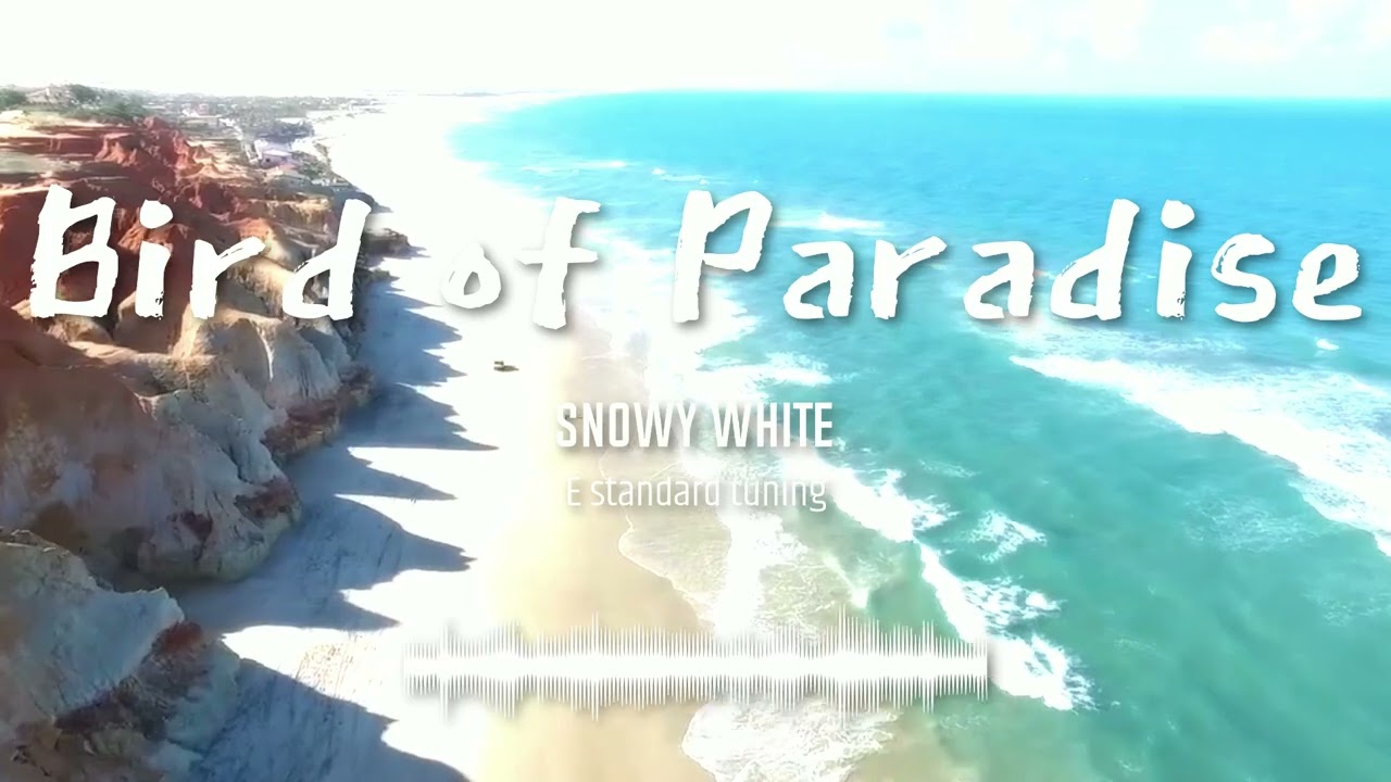 Bird of Paradise – Snowy White (Standard Tuning)