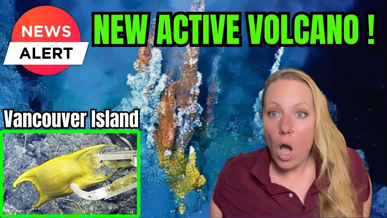 HUGE ACTIVE Underwater Volcano DISCOVERED - Covered  by Millions of mysterious GOLDEN Objects !