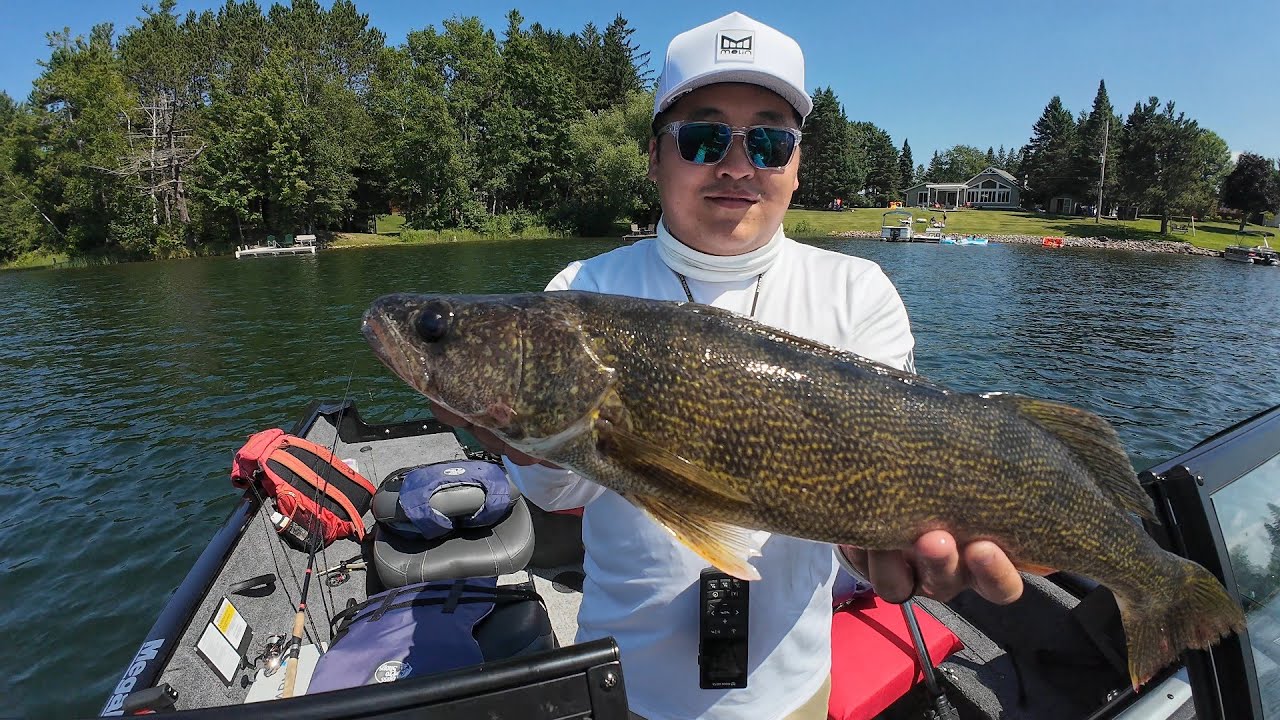 It's a summer quantity over quality kind of day? #bassfishing #walleyefishing #summer